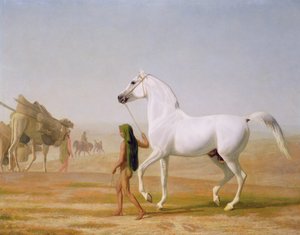 Wellesley Grey Arabian johti aavikon halki, noin 1810